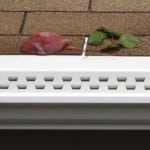 Gutters with a debris shield.