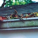 Gutters filled with leaves.