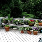 Deck with several potted plants.